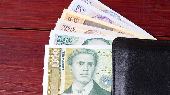 Bulgarisches Bargeld schaut aus einer schwarzen Geldbörse