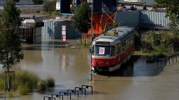 Eine Tatra Straßenbahn steht in braunem Wasser