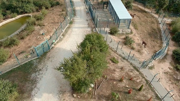 Gehege des Bärenparks aus der Vogelperspektive