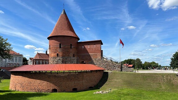 Eine Burg mit einem runden Turm mit spitzem Dach steht auf einer Grünfläche.