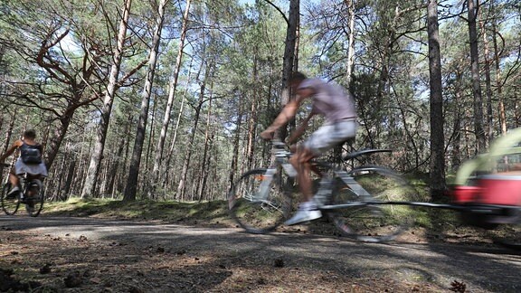 Radfahrer fährt durch Wald