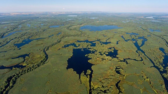 Luftaufnahme - Flussdelta der Donau, eine Landschaft mit Seen.