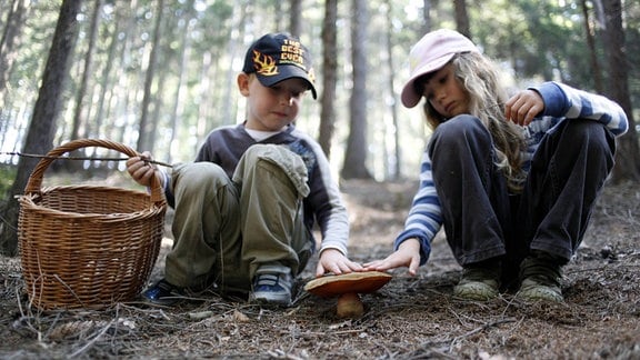Zwei Kinder im Wald beim Pilzesammeln.