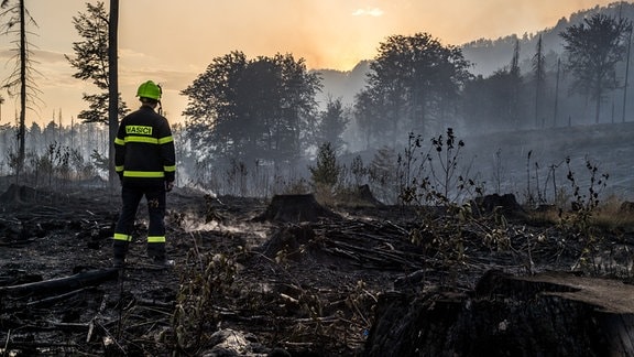 Ein Feuerwehrmann in Uniform steht auf einem niedergebrannten Waldstück.