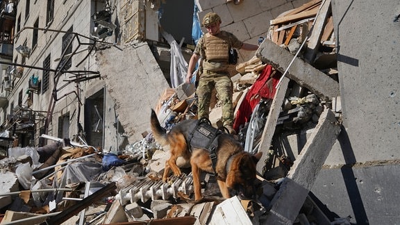 Ein Rettungshelfer sucht mit einem Hund nach Opfern in einem Wohnhaus, das nach einem russischen Bombenangriff beschädigt wurde.