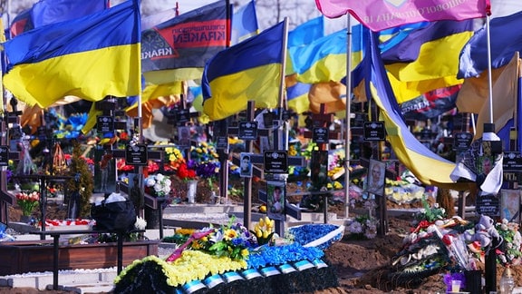 Ukrainische Fahnen wehen auf dem Friedhof auf Gräbern von gefallenen Soldaten.