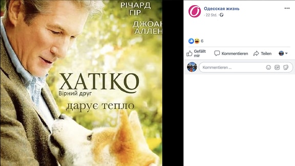 Ukrainisches Mem Hund für Wärme