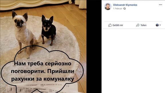 Ukrainisches Mem Hund für Wärme: Zwei Hunde mit Sprechblase