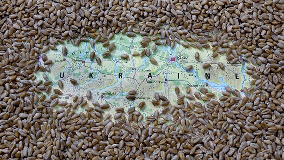 Landkarte der Ukraine und Weizen