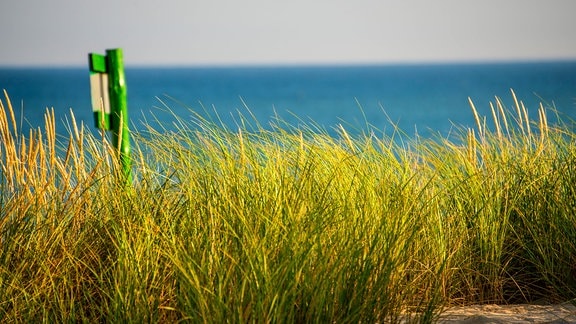 Düne mit Strandhafer und Schild