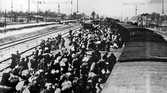 Ein Häftlingstransport aus Ungarn trifft im Lager Auschwitz ein