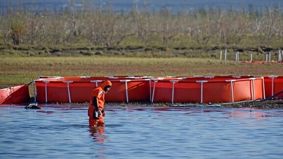 Ein Mann in einem orangefarbenen Neoprenanzug läuft am Ufer eines Sees