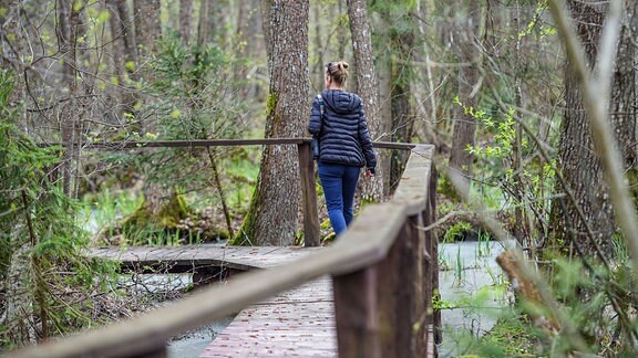 Eine Frau läuft auf einer Holzplattform durch den Nationalpark.