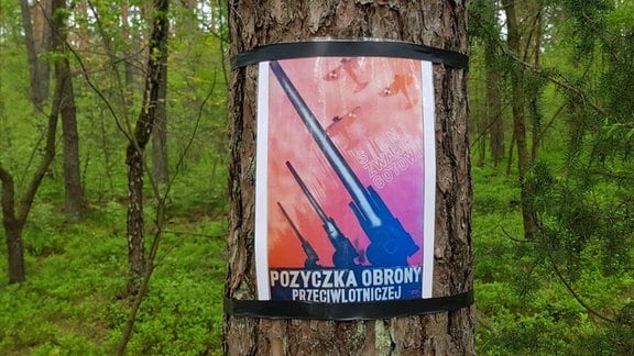Plakat an einem Baum