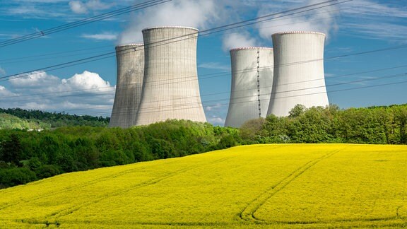 Kühltürme des Kernkraftwerks Mochovce hinter Rapsfeld