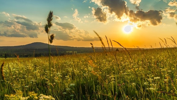 Natur bei Boží Dar im böhmischen Erzgebirge / Tschechien