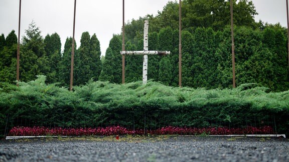 Inmitten von grünen Büschen steht ein Kreuz aus Birkenstämmen.