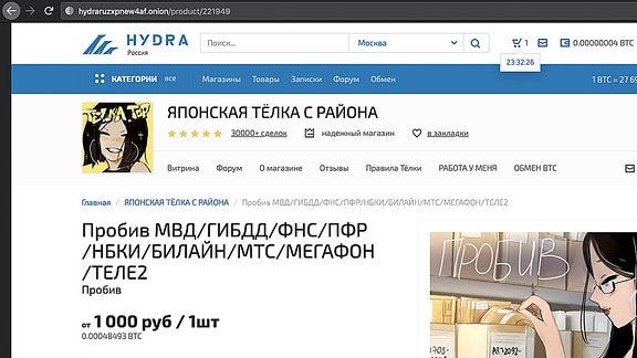 Russland Datenhandel - Screenshot einer russischen Internetseite.
