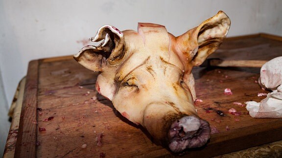 Schweinekopf auf Holzbrett/Rumänien (Rumänien