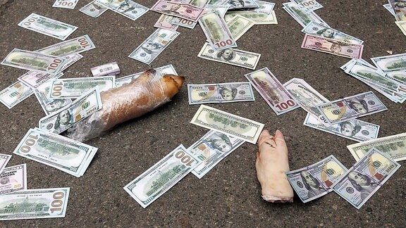 Ukraine, Während des Protests liegen gefälschte Dollars auf dem Boden.