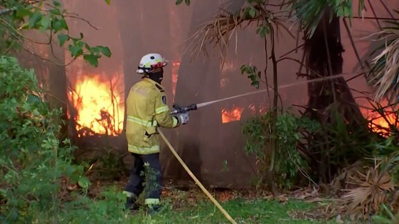 Das Wetterphänomen "El Niño" sorgt für Rekordtemperaturen und Waldbrände in Australien.