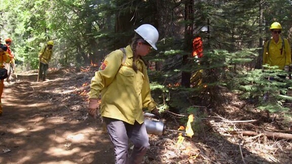 Im US-Bundesstaat Kalifornien werden kontrollierte Feuer gelegt, um Waldbrände zu verhindern.