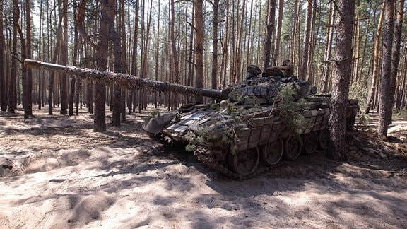 Ein Panzer in einem Waldstück