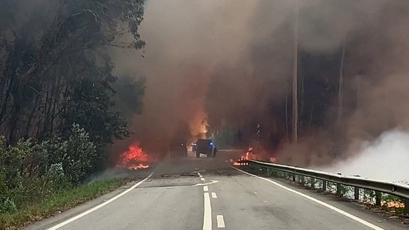 Eine Straße durch eine Waldstück. Auf beiden Seiten Flammen. Auf der Straße in der Mitte stehen Feuerwehrfahrzeuge.