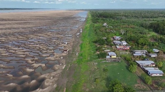 Schlimmste Dürre seit Beginn der Aufzeichnungen im Amazonas