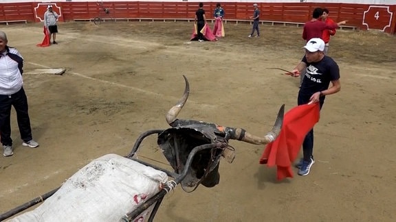 Training für Stierkampf in Kolumbien