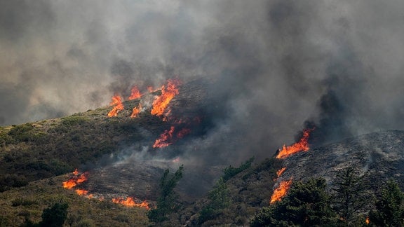 Nahe der Ortschaft Vati im Süden der Insel Rhodos steht ein Wald in Flammen.