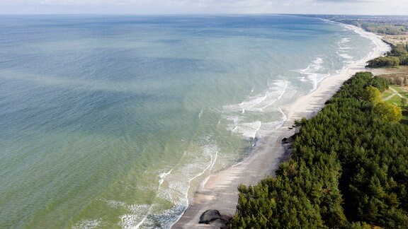 Luftaufnahme der bewaldeten Küste der Ostsee