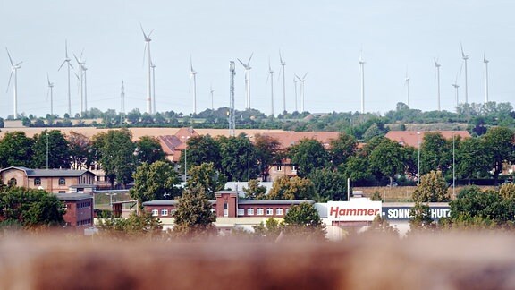 Windräder bei Aschersleben