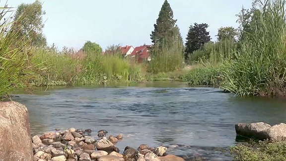 Mjez Prěčecami a Haslowom dóstanje Čornica zaso přirodne rěčnišćo. Zwischen Prischwitz und Dreikretscham bekommt das Schwarzwasser sein natürliches Flussbett zurück.