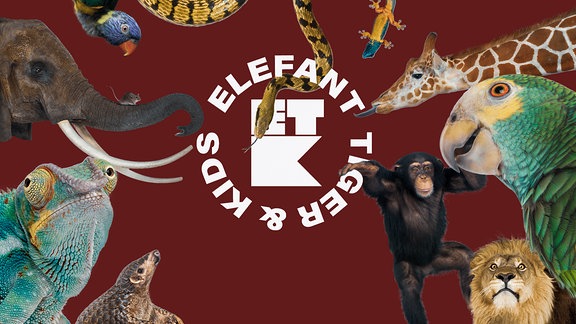 Logo von "Elefant, Tiger & Kids"