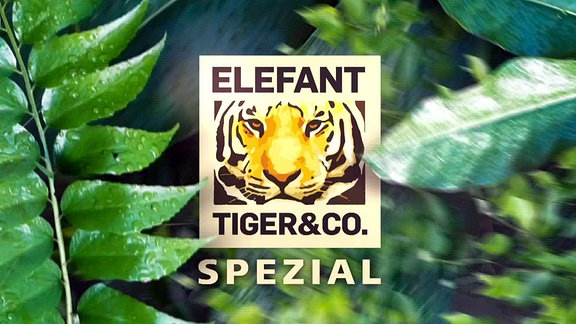 Elefant, Tiger & Co. – Spezial Logo zur Sendung