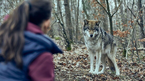 Viola Delbrück (Yvonne Catterfeld) ist fasziniert vom Wolf.