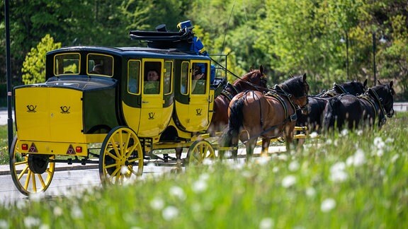 Historische Postkutsche mit vier Pferden im Gespann.