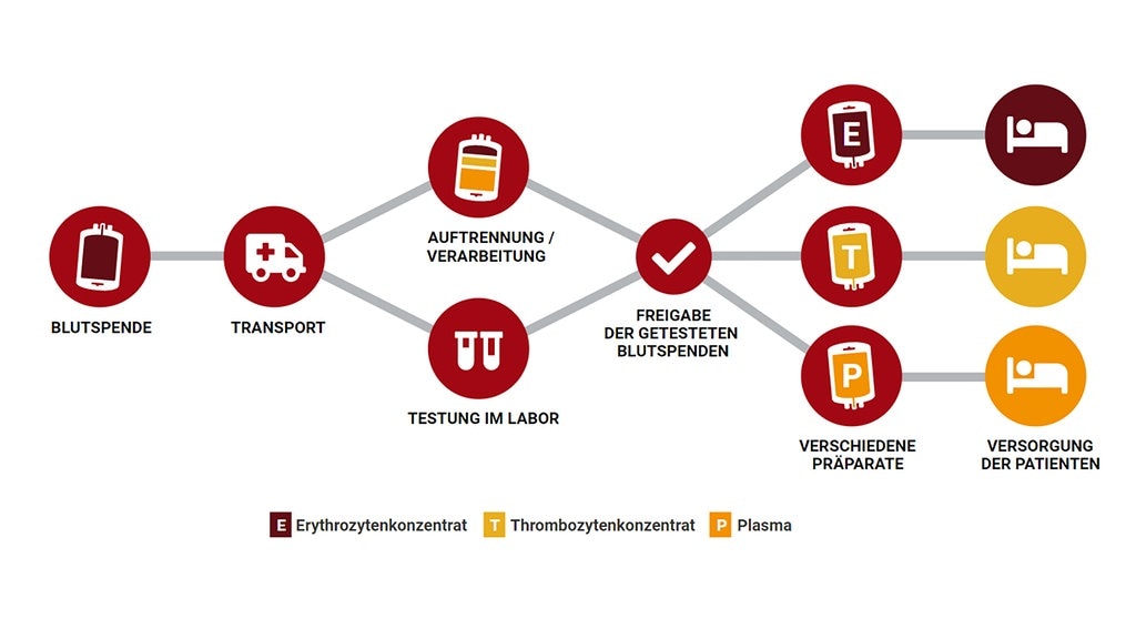 Finanzierung Der Drk Blutspendedienste Einnahmen Dienen Ausschliesslich Der Kostendeckung Mdr De