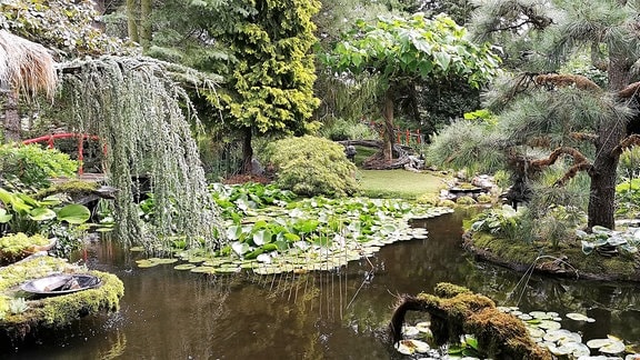 Vickys Gartenparadies - Baligarten