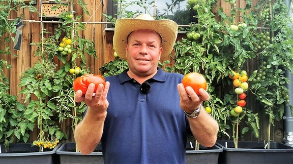 Vickys Gartenparadiese - Tomatengarten