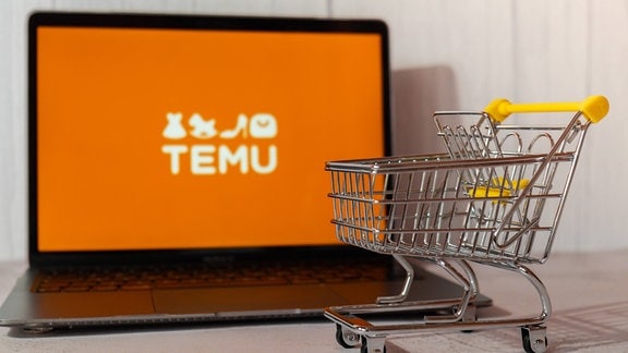Temu-App-Symbol auf dem Bildschirm eines Laptops mit Einkaufkorb.