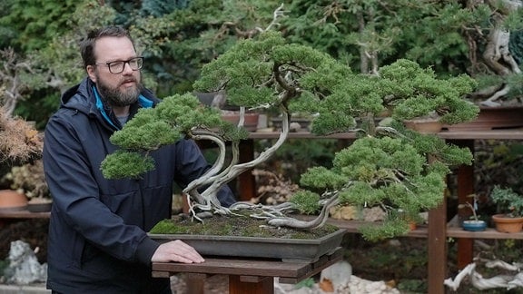 Ein Mann mit Vollbart neben einem großen Wacholder-Bonsai.