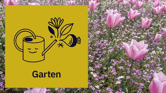 Ein Icon mit der Aufschrift "Garten" und illustrierter Gießkanne dahinter ein Foto mit Tulpen