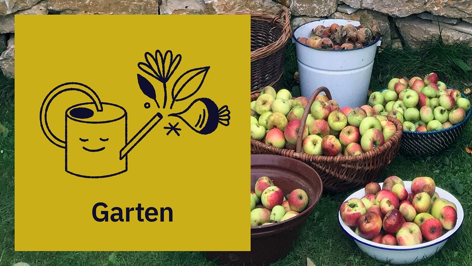 Der MDR Gartenkalender Gartentipps für September MDR.DE