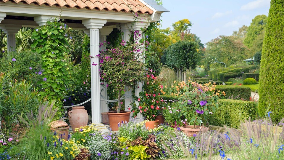 Tipps vom Profi Mittelmeertraum im eigenen Garten MDR.DE