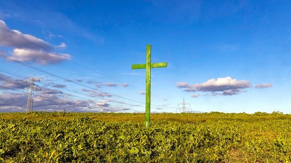 Ein grünes Holzkreuz auf einem Feld.  