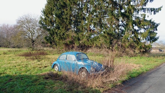 Ein blaues, altes Auto steht auf einer Wiese.