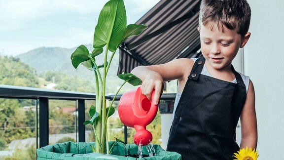 Ein Kind gießt eine Balkonpflanze. 