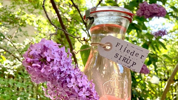 Flieder-Sirup in einem Einmachglas